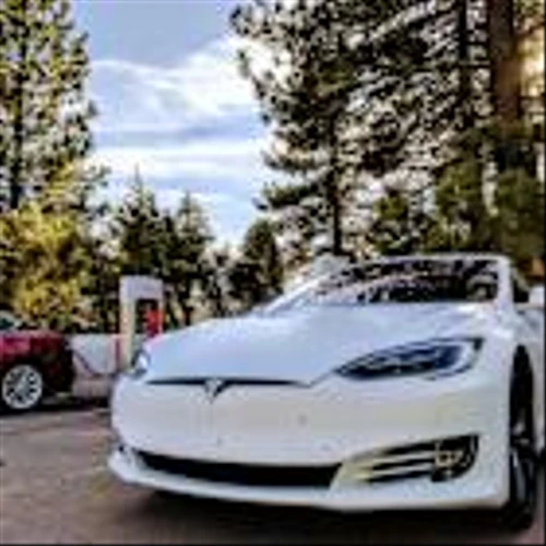 Here’s How Not Owning Tesla (TSLA) Impacted Macquarie Large Cap Growth Fund’s Performance