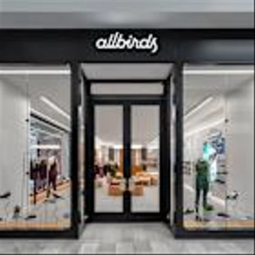 Allbirds CEO Calls 2024 a Year of ‘Operational and Financial Progress’