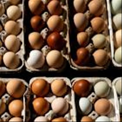 Cal-Maine Foods Bets on Specialty Eggs, Prepared Foods as Profit, Sales Rise