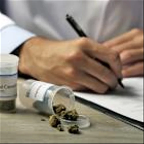Tilray Brands (TLRY) Climbs 8% Ahead of Cannabis, CBD Policy Decision