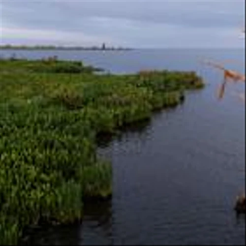 How Hydrogen, the Fuel of the Future, Got Bogged Down in the Bayou