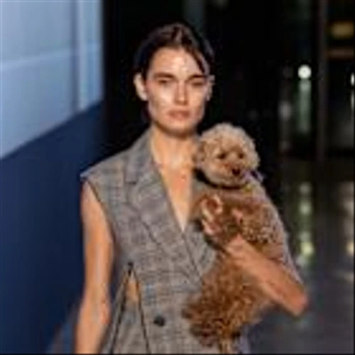 Intel Helps Monse Tell a Larger Story With AI