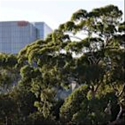 Exclusive-BHP considered spinning off iron ore, coal divisions