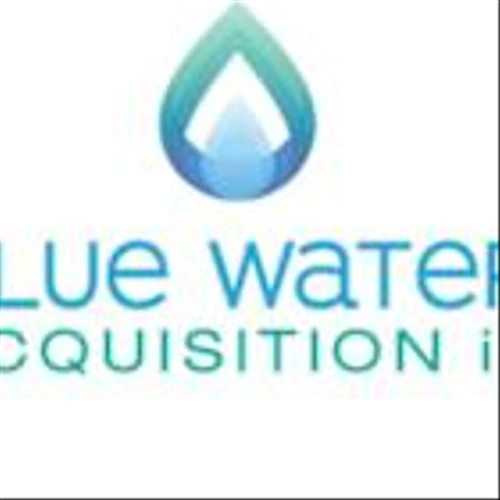 BLUE WATER ACQUISITION CORP. III SUSPENDS PARTICIPATION IN CITGO ACQUISITION PROCESS