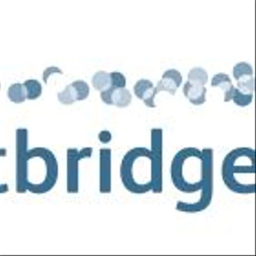 Lightbridge CEO Seth Grae Interviewed on Scripps News TV