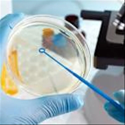 Biotech Stock TG Therapeutics Hits A High In Market Meltdown
