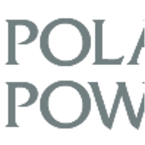 Polar Power Reports Full Year and Fourth Quarter 2024 Financial Results