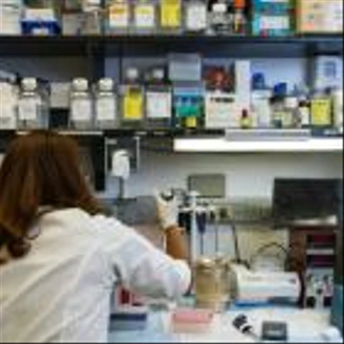 Why BrightSpring Health Services, Inc. (BTSG) Is Among the Best Booming Stocks to Invest in Now?