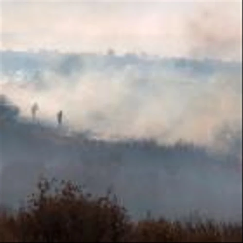 Xcel Energy looks to limit wildfire liability, tariff impacts