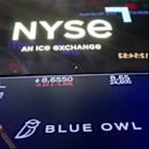 Software Loans Went From Catnip to Kryptonite. Where Are They Now?