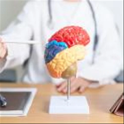 Grace Therapeutics secures $15m for GTx-104 pre-commercial development