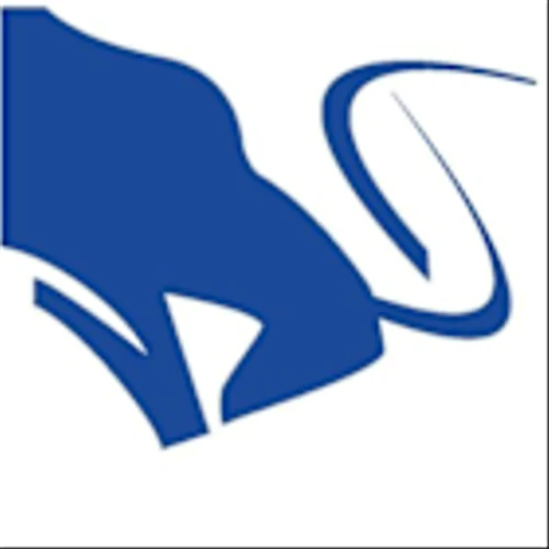 Stag Industrial Inc (STAG) Q1 2025 Earnings Call Highlights: Strong Leasing Performance and ...