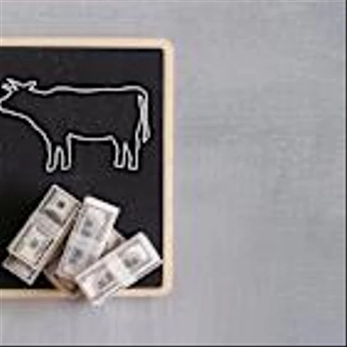 The Best Stocks to Invest $1,000 in Right Now