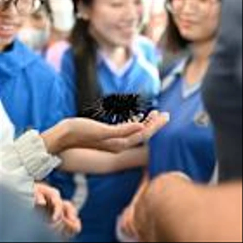 From Tool to Ecosystem: Meta Dot Pioneers STEAM Education Innovation in Hong Kong, Powered by GPTBots.ai