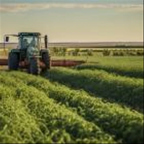 S&W Seed Company (NASDAQ:SANW) Q2 2024 Earnings Call Transcript