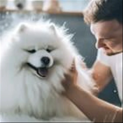 What Are Analysts Saying About Petco Health and Wellness Company (WOOF)?