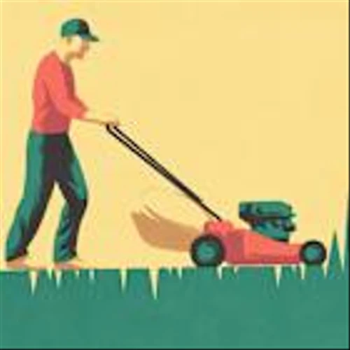 The Stock Market Just Got Shaky. Where to Find Solid Ground.