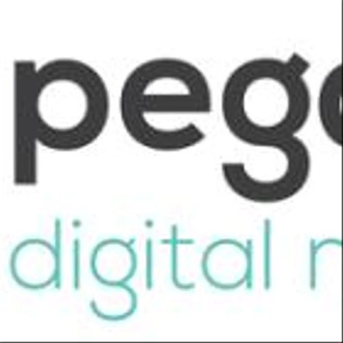 Pegasus Digital Mobility Acquisition Corp. Announces the Results of its Extraordinary General Meeting and Amendment of its Memorandum and Articles of Association