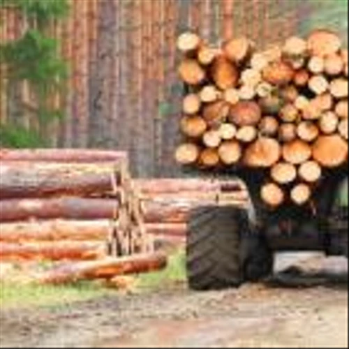 Zacks Industry Outlook Highlights International Paper, Suzano and Smurfit Westrock