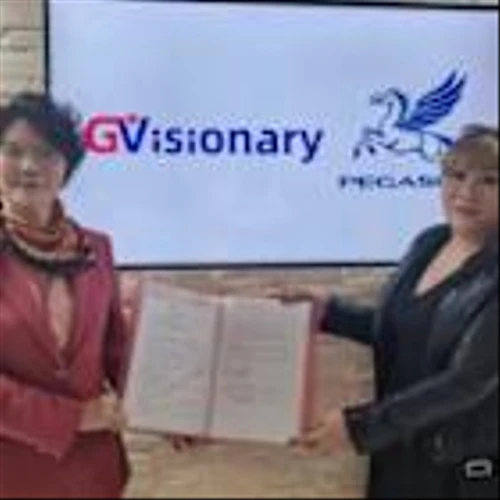 Visionary Aggressively Expands Its High - Tech Landscape, Empowering New Momentum for Market Value Growth