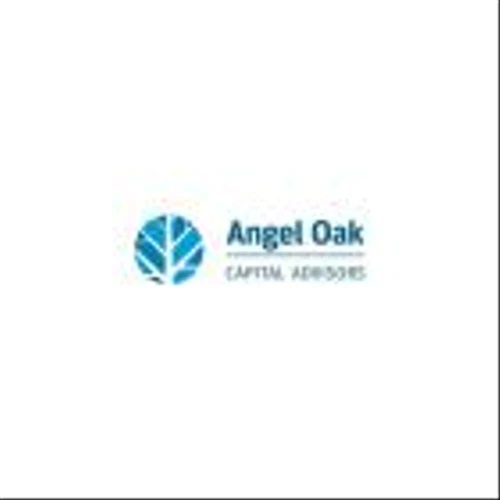Angel Oak Financial Strategies Income Term Trust Declares May 2024 Distribution
