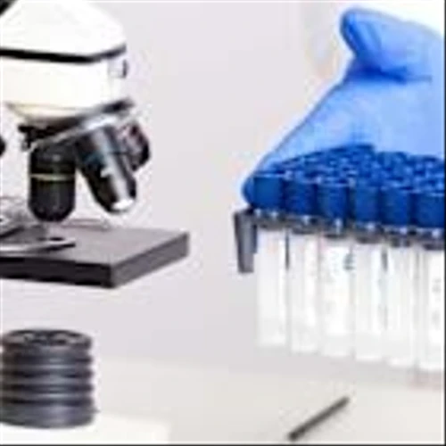 BioAge Rockets As It Takes On Eli Lilly's Takeover Play, Ventyx Bio