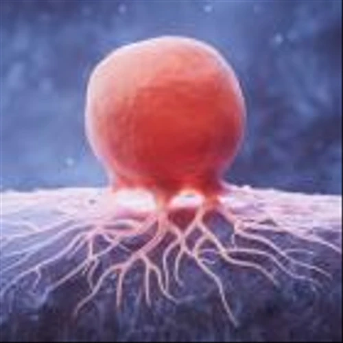 Carisma Therapeutics’ solid tumour therapy obtains FDA Fast Track status
