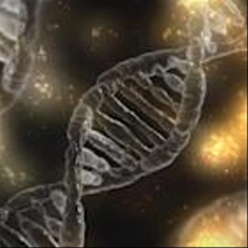 GRAIL, Inc. (GRAL): A Bull Case Theory