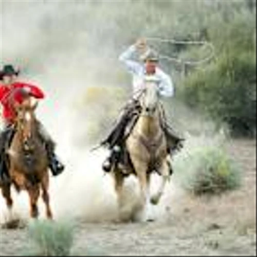 Q3 Earnings Bonanza Pulls a Flat Pre-Market: T, TMO, TSLA, etc.