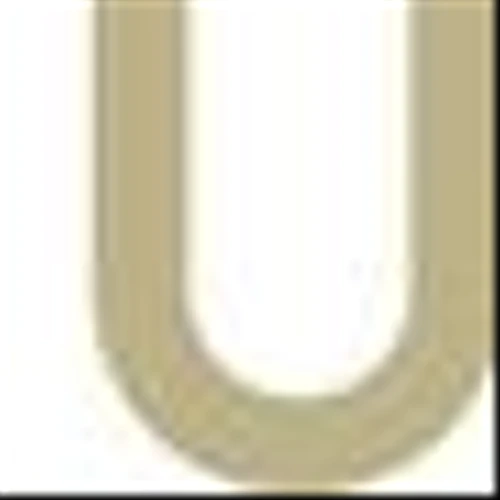 MASSACHUSETTS REALTOR® AND AWARD-WINNING TEAM LEADER MICHELLE FERMIN OF CENTURY 21 NORTH EAST INDUCTDED INTO CENTURY 21 DICK LOUGHLIN INTERNATIONAL HALL OF FAME