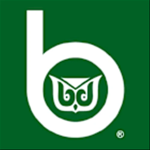 WR Berkley Corp (WRB) Q1 2025 Earnings Call Highlights: Strong Growth Amidst Challenges