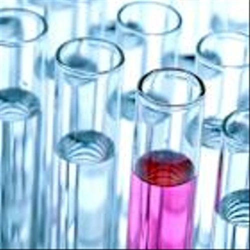 Biotech Stocks Are Ready to Rebound. 3 to Watch Now.
