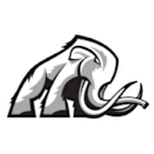 Mammoth Energy Services Inc (TUSK) Q1 2025 Earnings Call Highlights: Strategic Growth Amid ...