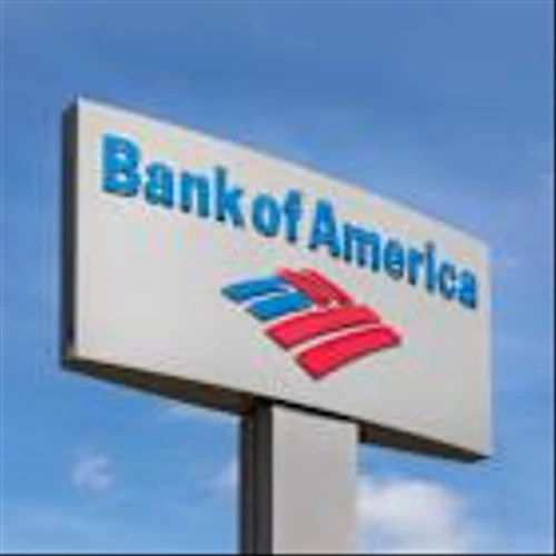 How Is Bank of America’s Stock Performance Compared to Other Bank Stocks?