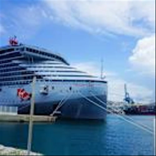 CEO accused of choking a fellow cruise passenger after the man allegedly danced barefoot at a bar aboard the ship and insulted the CEO’s wife