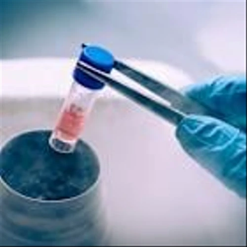 Why Impact Biomedical Inc. (IBO) Surged On Thursday?