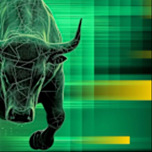Speculative Retail Trading is Good for Financial Markets, Actually