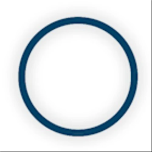 Oncolytics Biotech Inc (ONCY) Q1 2025 Earnings Call Highlights: Strategic Advances Amid ...