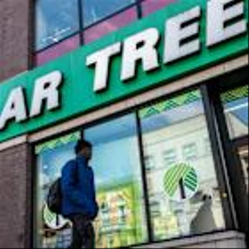 Dollar Tree Boosts Outlook as Shoppers Continue to Seek Value