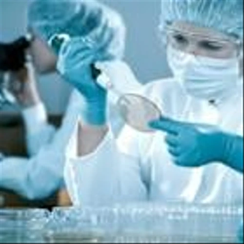 Is the Options Market Predicting a Spike in Genmab Stock?