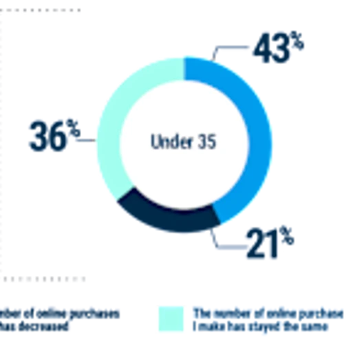 Descartes’ Annual Ecommerce Study Shows Younger Consumers Driving Online Buying Growth - but 79% Have Experienced Delivery Problems