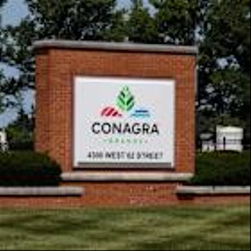 How Is Conagra Brands’ Stock Performance Compared to Other Food Stocks?