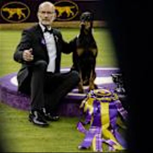 Johnston & Murphy, Official Shoe Sponsor of Westminster Dog Show, Outfits Best in Show Winning Handler