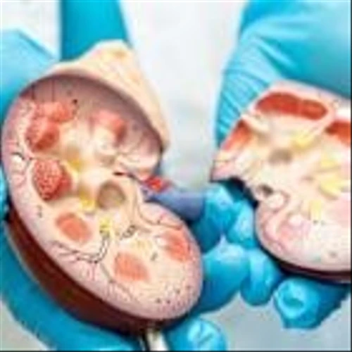 Averoa secures EC authorisation for oral CKD treatment