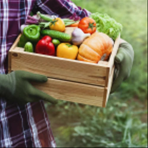 Setting the Table for Progress: Sysco 2024 Sustainability Report