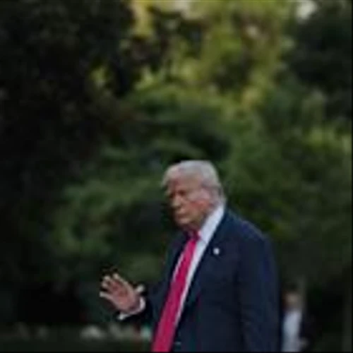 Trump's Support for the GENIUS Act Lifts Bitcoin, Crypto Stocks After Minor Hiccup