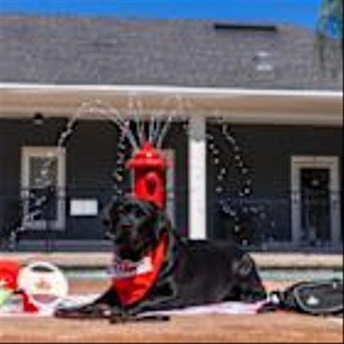 Casey’s Partners with K9s For Warriors to Advance its Mission of Pairing Service Dogs with Military Veterans