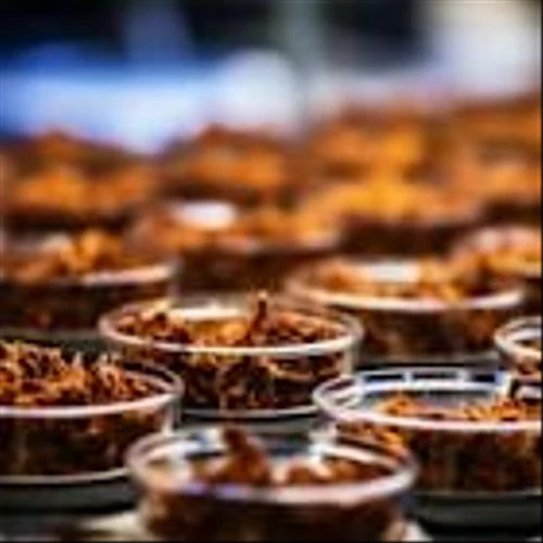 Jefferies Sees Limited Re-Rating Upside for Philip Morris (PM) in 2026