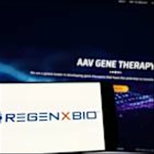 Regenxbio Unveils 12-Month Data For Gene Therapy Soon After FDA Delays Review Date