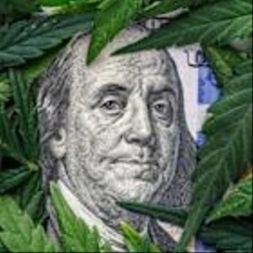 How to Play Aurora Cannabis Stock Amid Renewed Legalization Hopes?